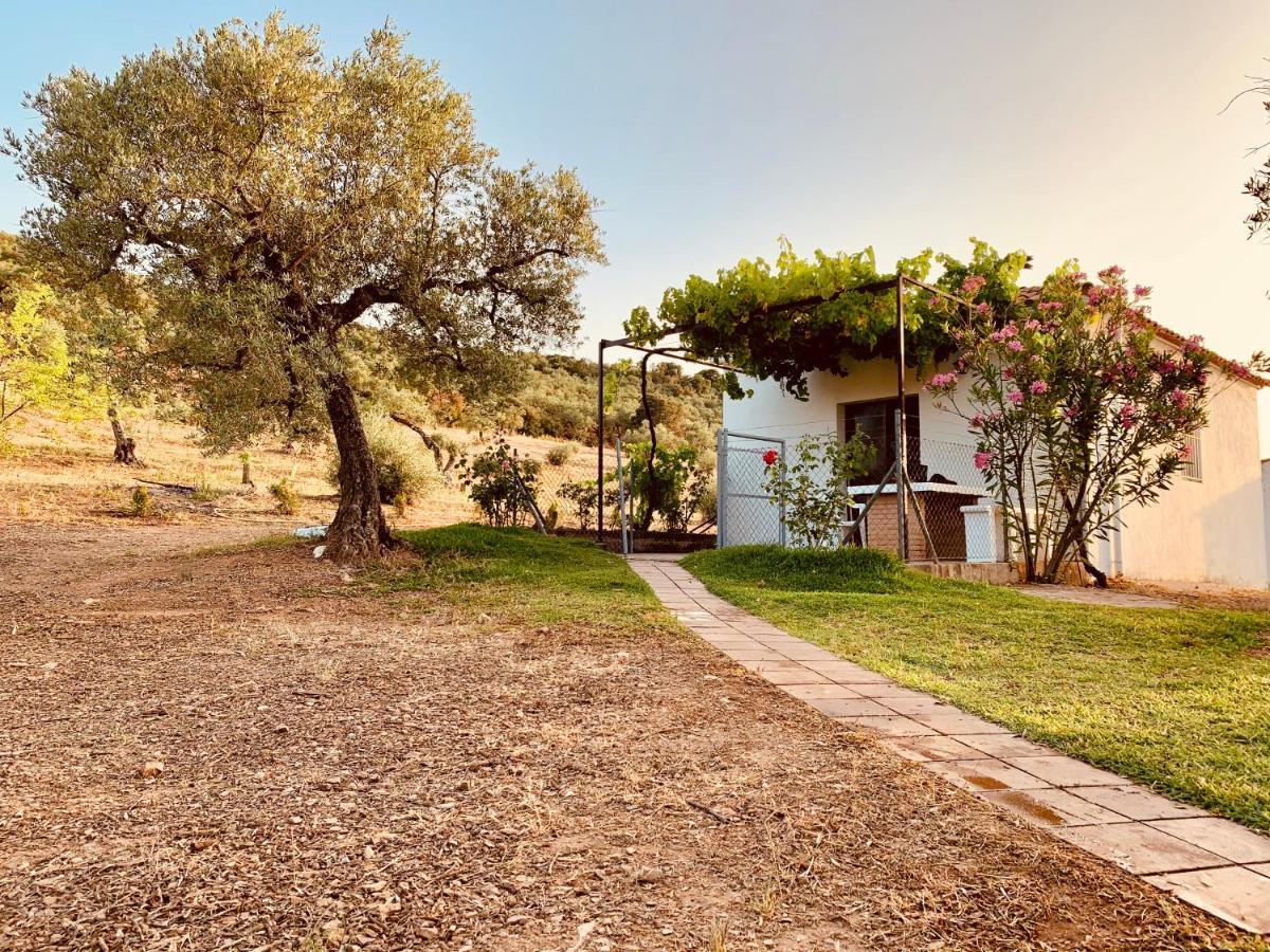 Casa Rural Arroyo Marco Guadalcanal Eksteriør bilde